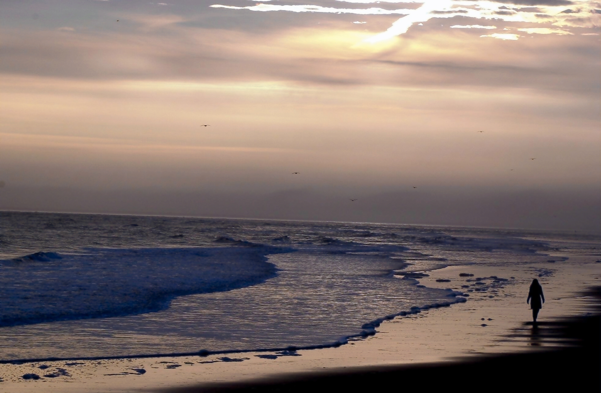 Dornoch Beach among the winners