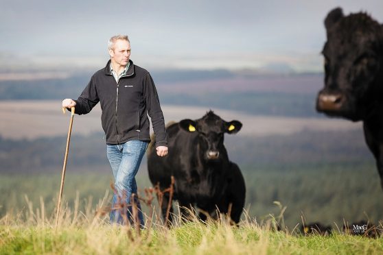 Douglas Stewart at Fans Farm