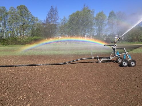 Irrigation of spring barley by Peter Grewar