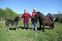 Anne and Ken Scott with some of their Shetland ponies