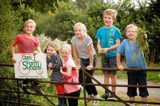 Open Farm Sunday takes place on June 11 this year