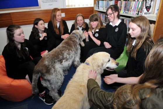 Speyside High School pupils work out their exam stress by playing with Barney and Brodie.