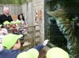 Some children attempted to reach out and touch the tiger.