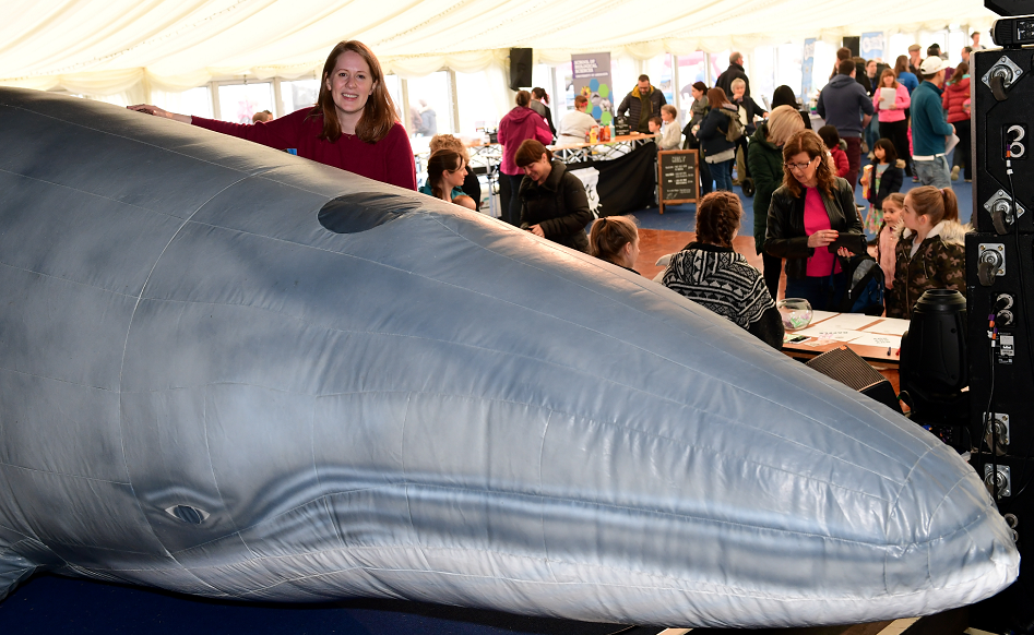Family day at the Greyhope Bay site Aberdeen.    
Pictured - Fiona McIntyre of Greyhope Bay with the life size minke whale on show.