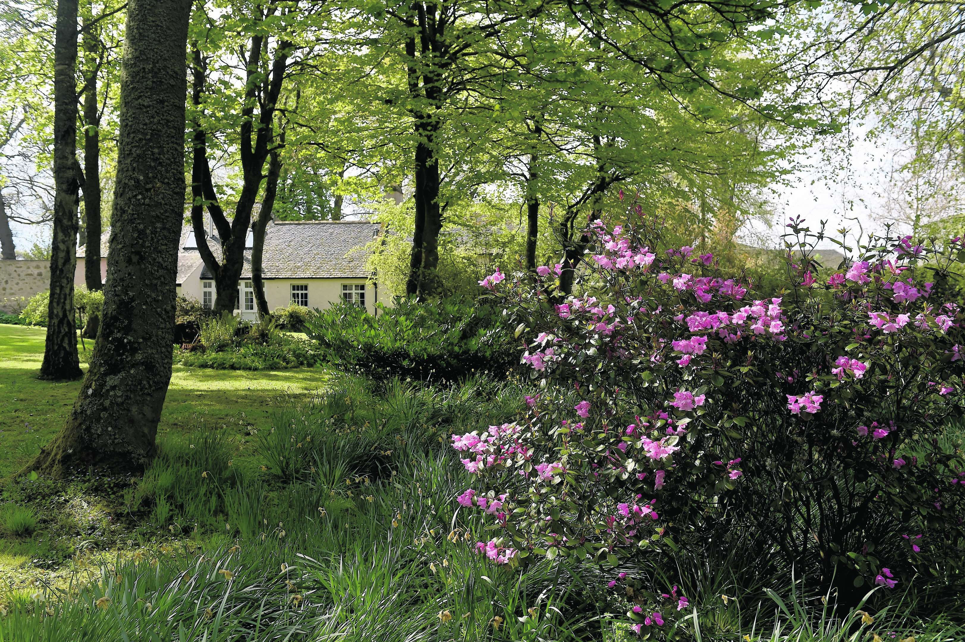 Picture by SANDY McCOOK 11th May '17 Your Home Feature. Gardeners Cottage, Nigg, Easter Ross, home of Alastair Kennedy.