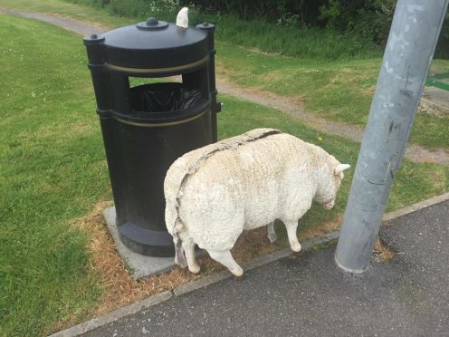 The ceramic sheep was found vandalised a short distance from the house