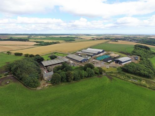 Easter Auquharney Farm from above.