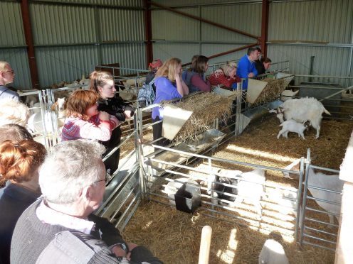 Drummuir Estate hosted goat keeping courses.