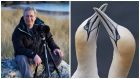 Andy Hall and his photograph of Billing Gannets at Troup Head