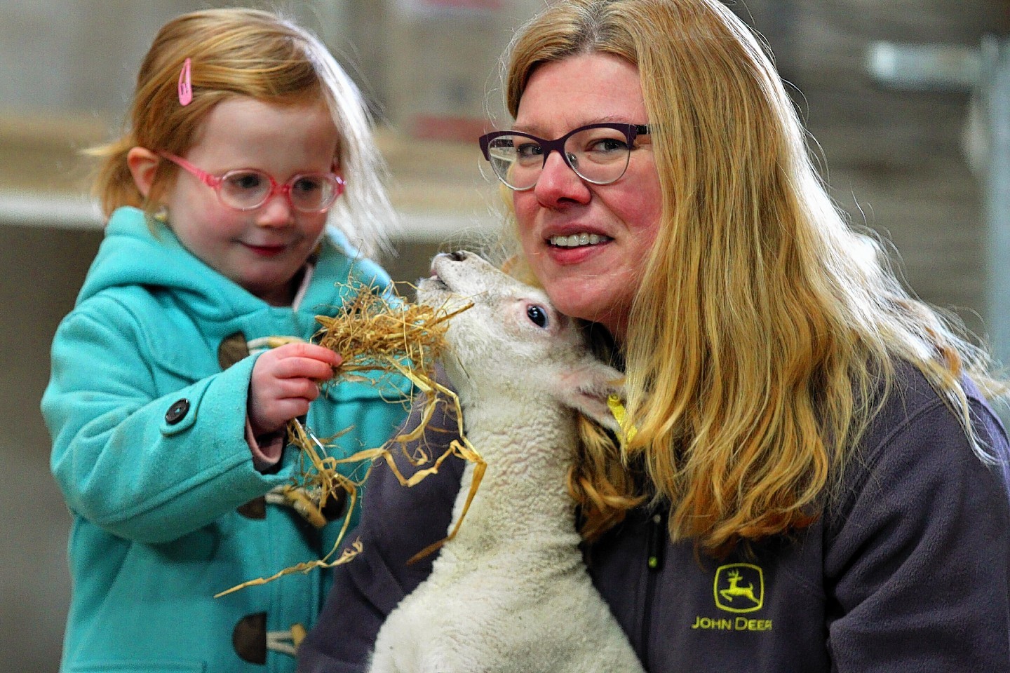 Violet Cheesman, 3, feeds a lamb with farm owner Louise Nicoll.