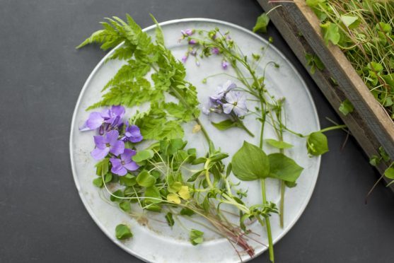 Now is the time to make the most of fresh seasonal herbs, says Michelin star chef Tom Kitchin