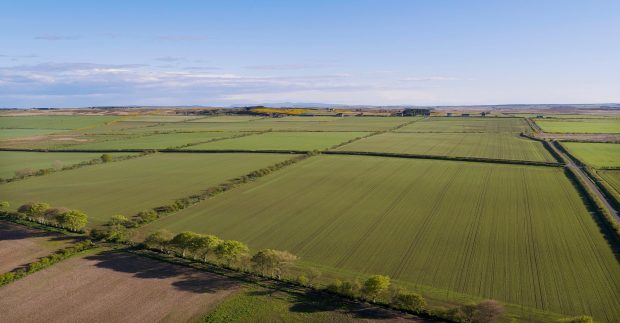 Some of the farmland at Watten Mains