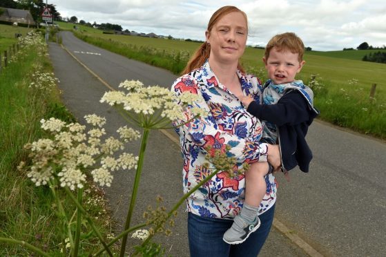 Claire McPherson and son Jake, 2, next to a giant hogweed near Logie Durno School (Picture: Kenny Elrick)