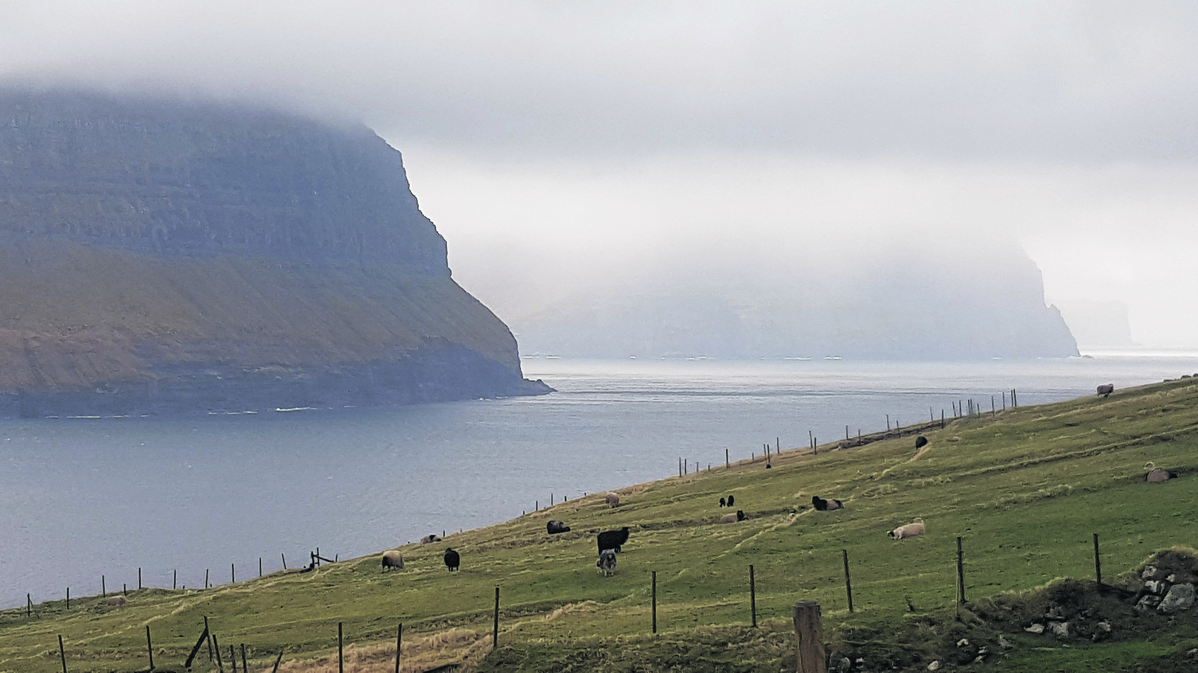 yl-Faroes3