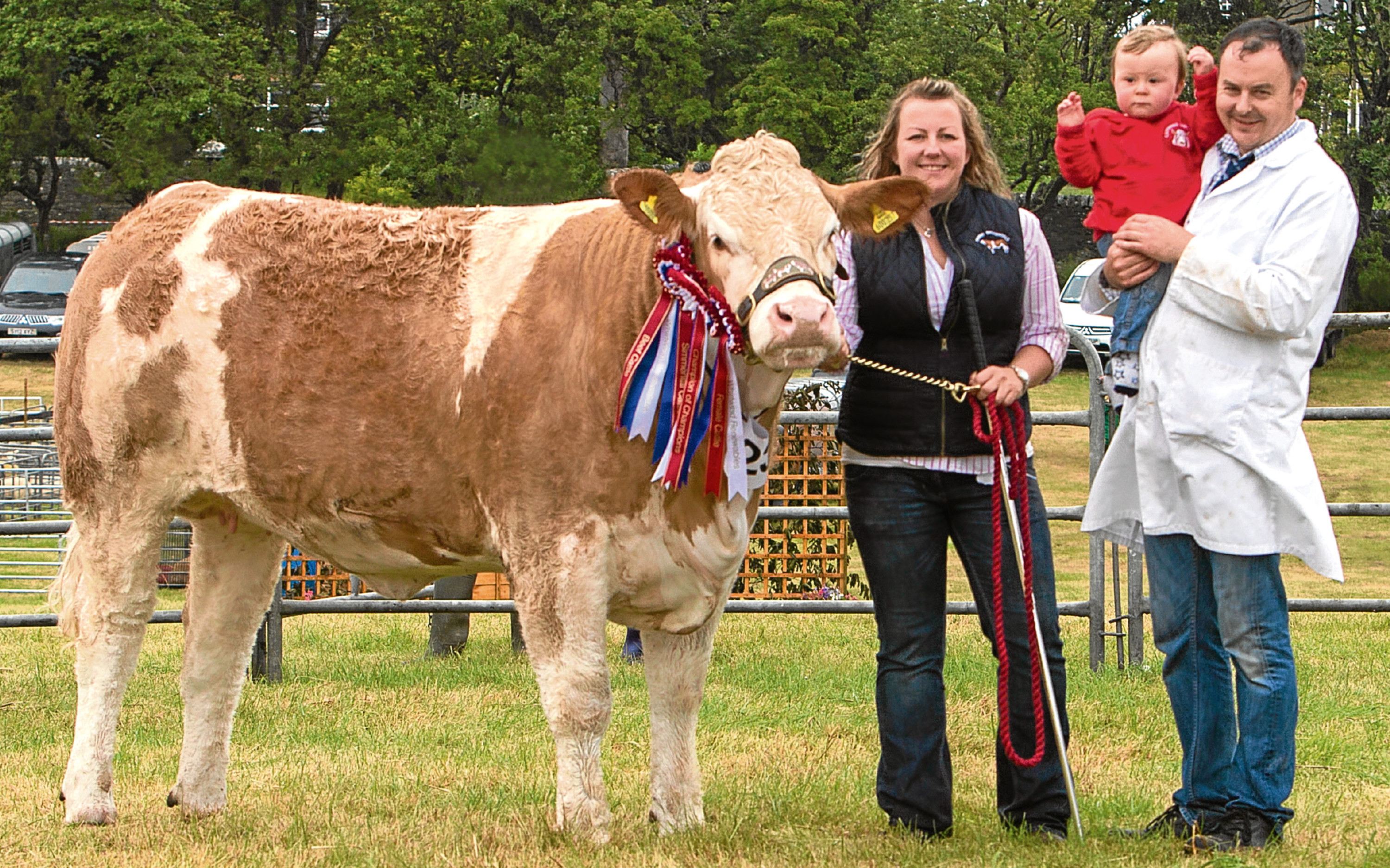 Young exhibitor, one year old Jenson Gunn, with mum and dad, Joanne and Jonathan and his champion of champions Mavsey Golden Pride.