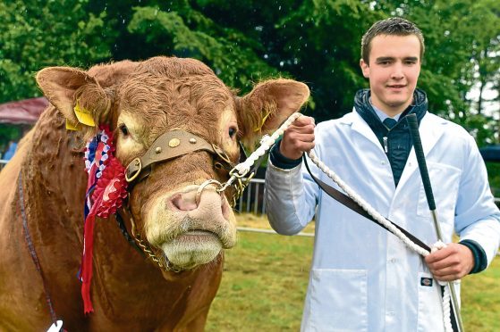 Scott Service with Harry and Lynwen Emslie's show champion of champions - Limousin bull Whiskey Lord.