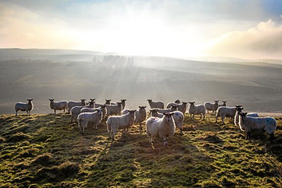 Mr Gove said farmers must do work to benefit the environment in order to get subsidies.