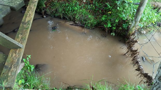 Conservationists are concerned by silt pollution in the Kintyra burn