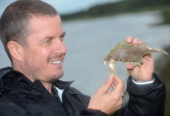 Mal Burkenshaw sizes up the jaw bone he found in the River Lossie.