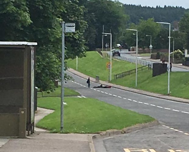 The shocking photo apparently shows two youngsters stretched out across one lane of General Booth Road - while a third stands next to them.