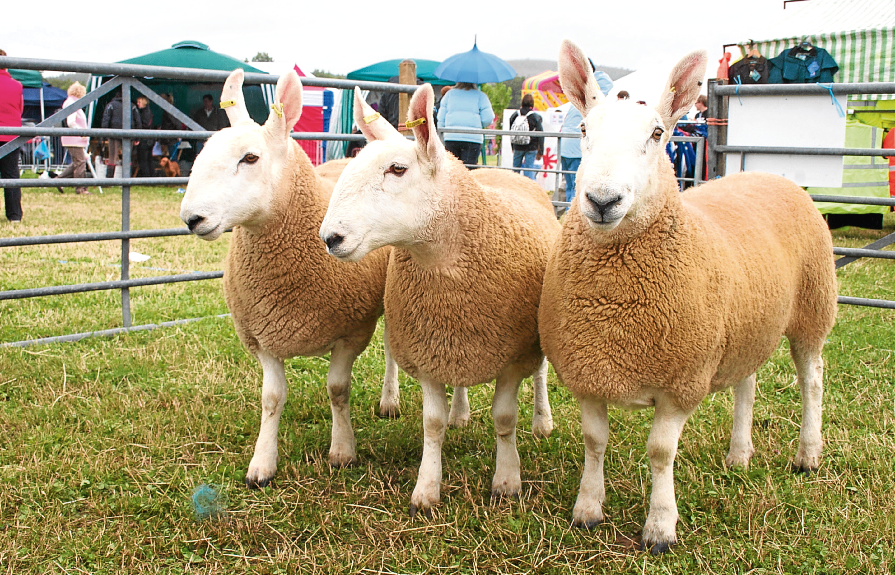 Farm leaders have called for changes to the support scheme.