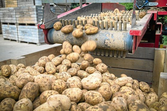 The project involved growers from across the east of Scotland.