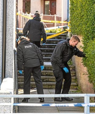 Police search the lanes around the scene of the crime