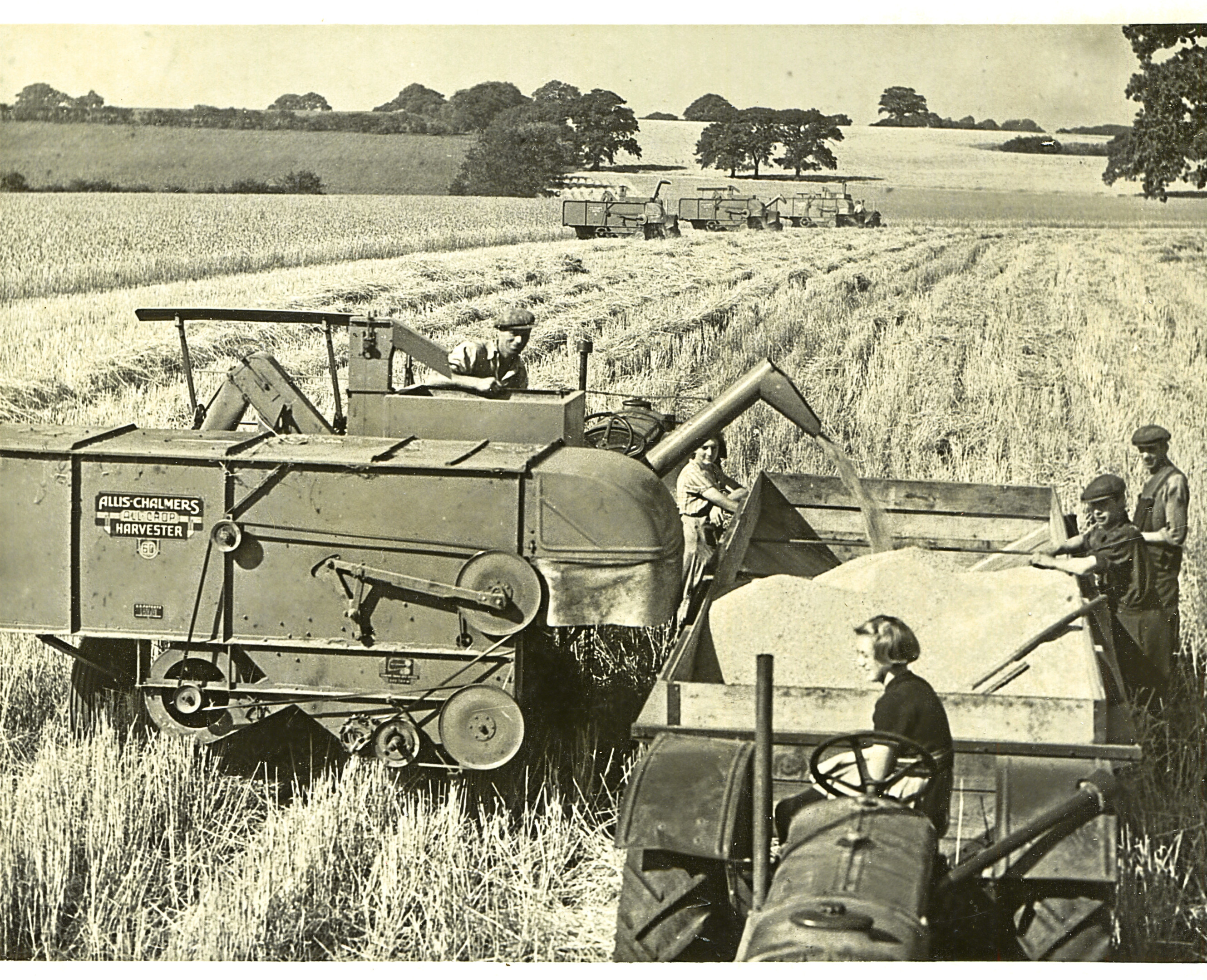 One of the combines in action.