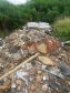 Sheets of asbestos have been dumped near Tynet Road at Spey Bay.