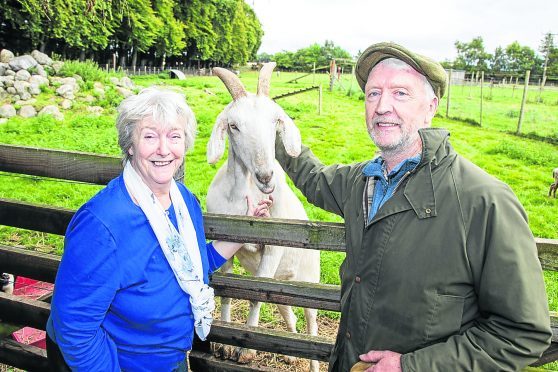 Maureen and Eric Maxwell pictured with Shamrock the goat