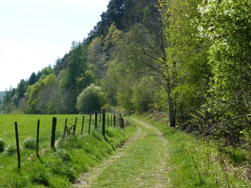 A stretch of the South Loch Ness Trail at the village of Foyers