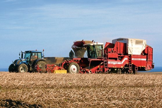 Many people are unaware of what is being harvested in a field