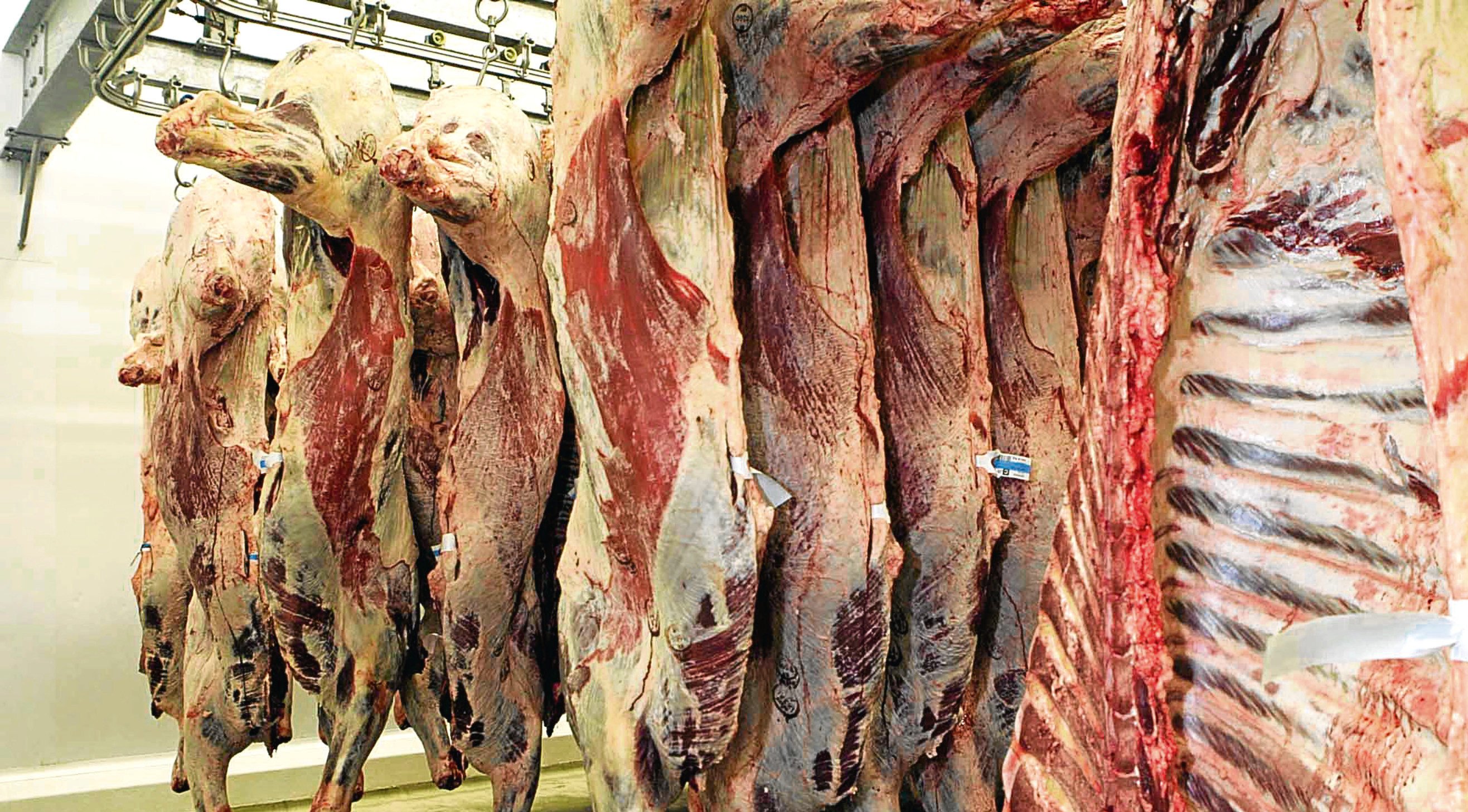 Both Scotbeef Inverurie and JW Galloway Group posted an increase in turnover and profits.