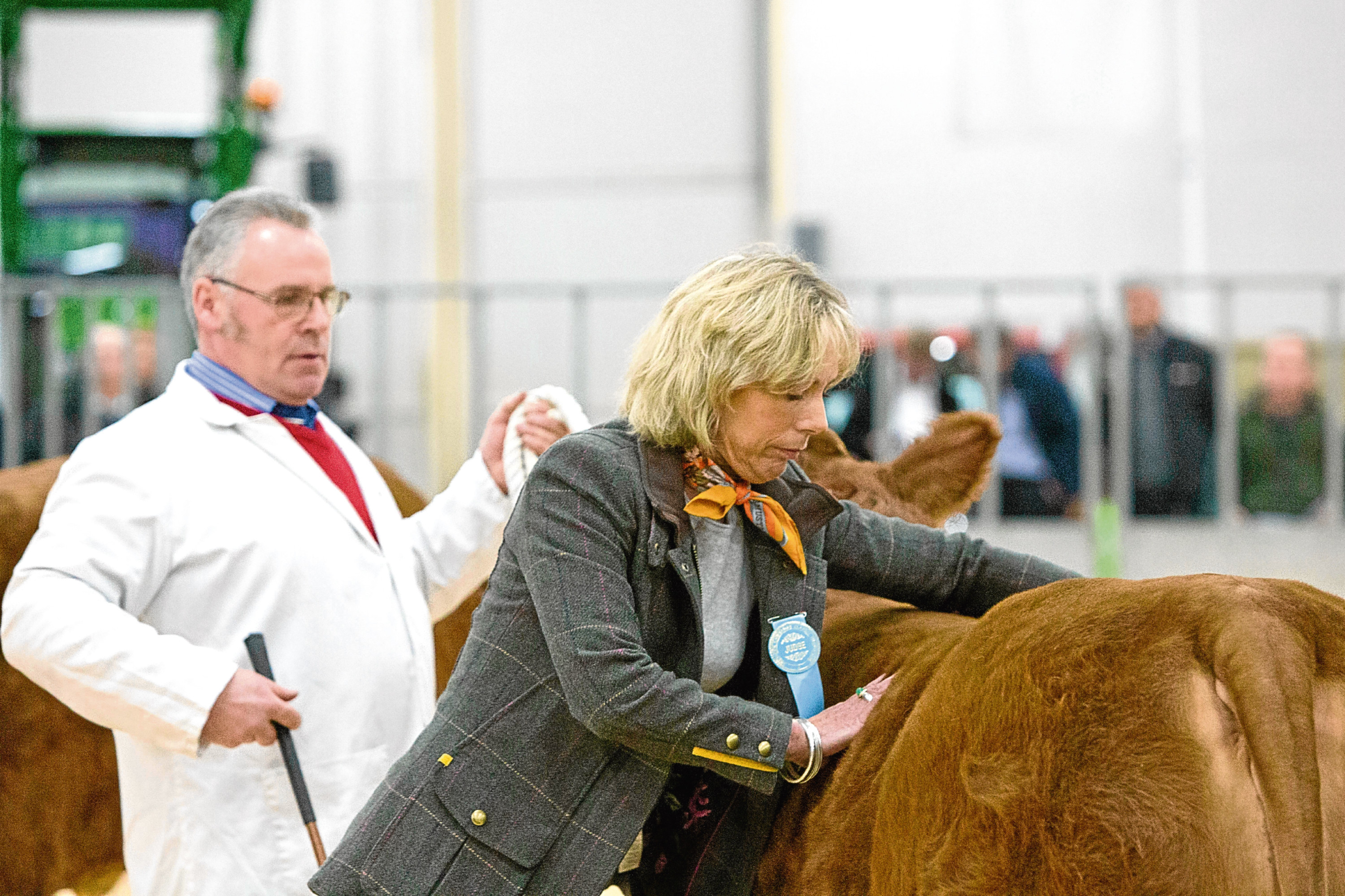 Butcher Louise Forsyth judging an entry from Wilson Peters at last year's event.