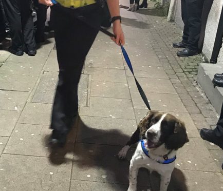 Buster joined police in the operation to find drugs in Elgin town centre.