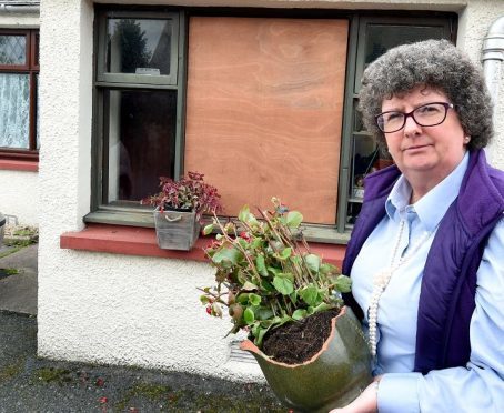 Unknown assailants threw a large pot plant through Gillian Owen's window last week.