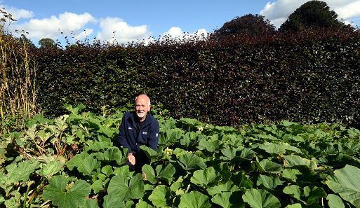 Peter Randlo in the empty pumpkin patch at Castle Fraser