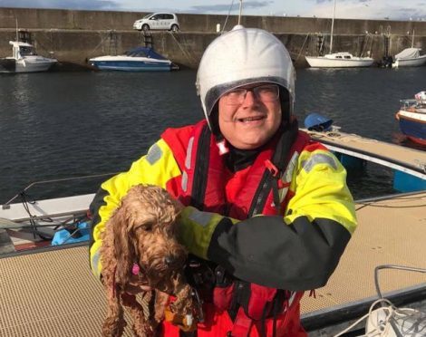 Miro crew member Peter McKenzie with the rescued dog at Hopeman harbour.