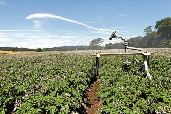 The trials have been organised by AHDB.