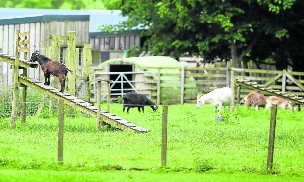 The Black Isle Wildlife and Country Park near North Kessock on the Black Ilse