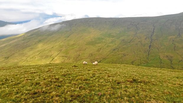 Some of the hillground at Kirkton and Auchtertyre