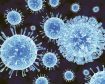 Norovirus strikes at many schools in the winter months