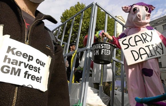 A protester dressed as a cow joins campaigners against genetically modified crops outside Downing Street, London