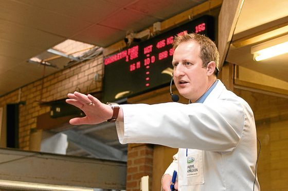 Auctioneer Daniel Johnston at Forfar Auction Mart