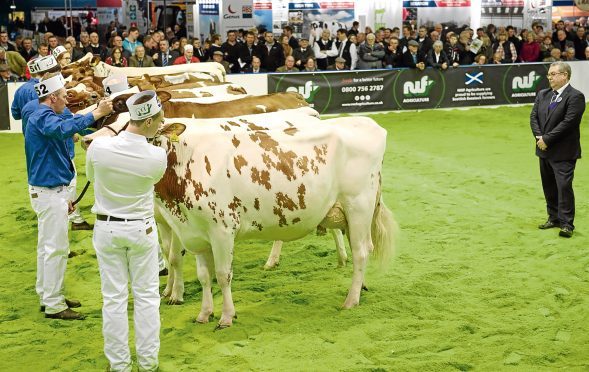 Agriscot
Judge Mark Logan seen looking over the Åyshires