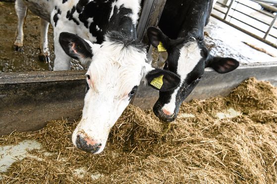 The milk price cuts comes into force on March 1