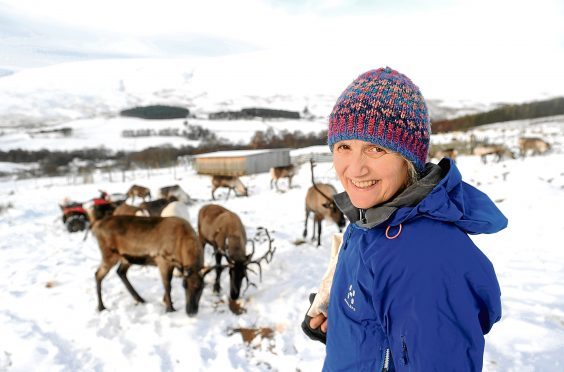 Tilly Smith with some of the reindeer