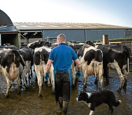 Farmers are encouraged to share their views on different production systems.