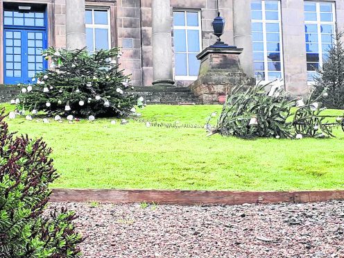 The Christmas tree in Banff that has been vandalised.