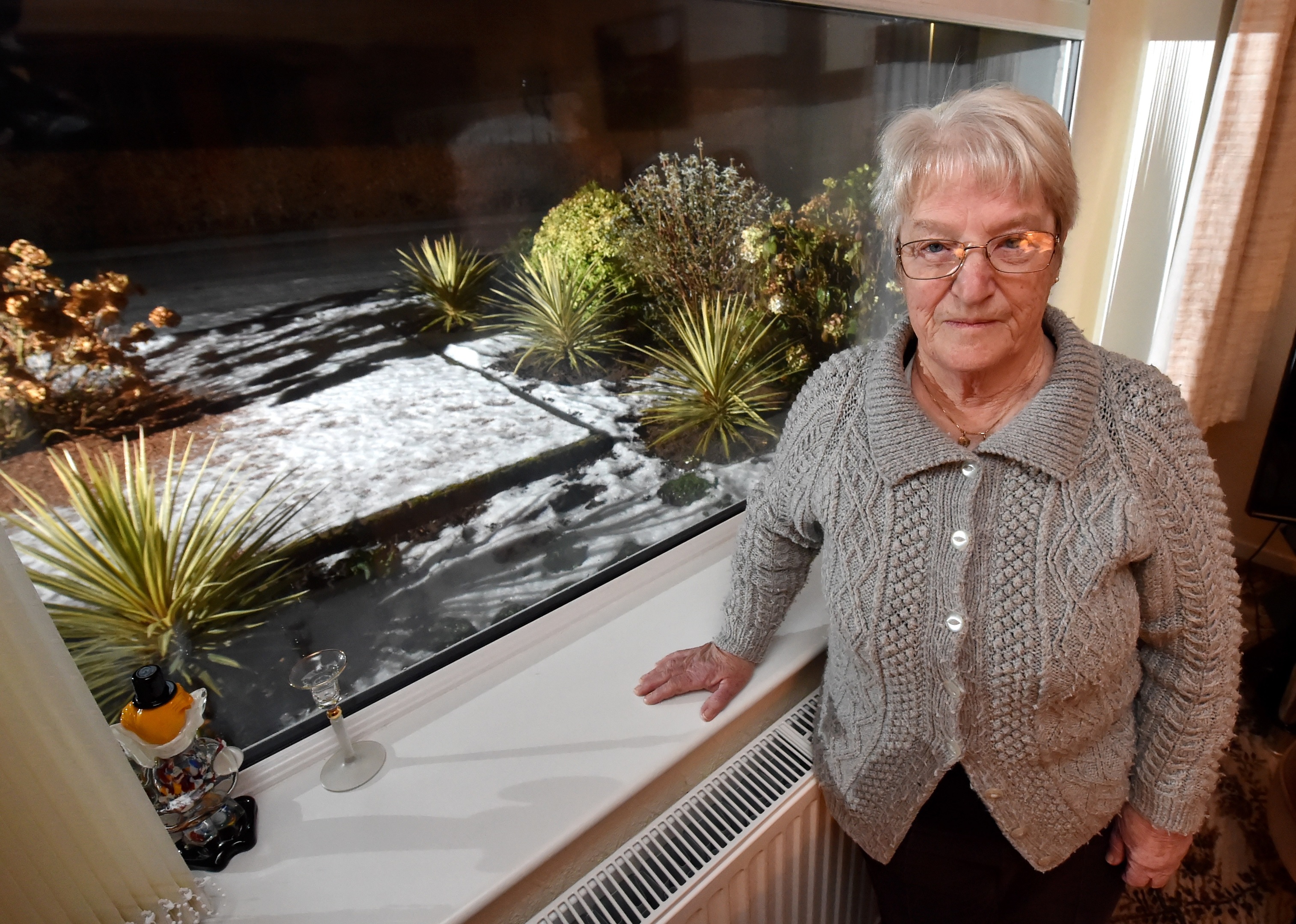 Mary Donald from Bridge of Don, has been trapped in her house for a week because of the ice. (Picture: Kenny Elrick)